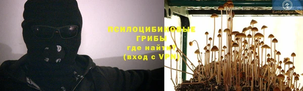круглые Бородино