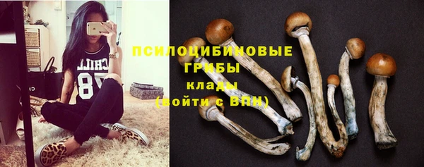 круглые Бородино