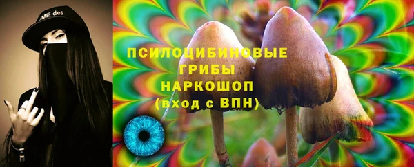 круглые Бородино